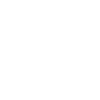 車載